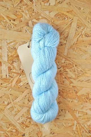 Dimidium 'Ice'