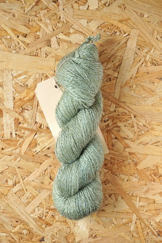 Dimidium 'Olive'