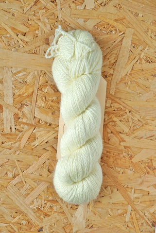 Dimidium 'Butter'