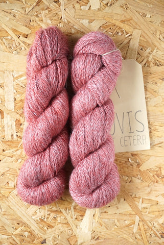 Dimidium 'Red'