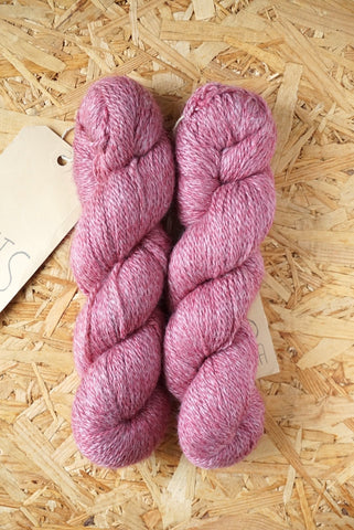 Dimidium 'Wine'
