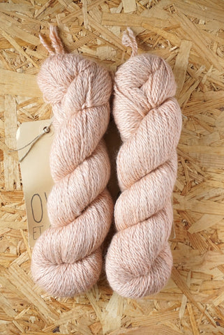 Dimidium 'Sienna'