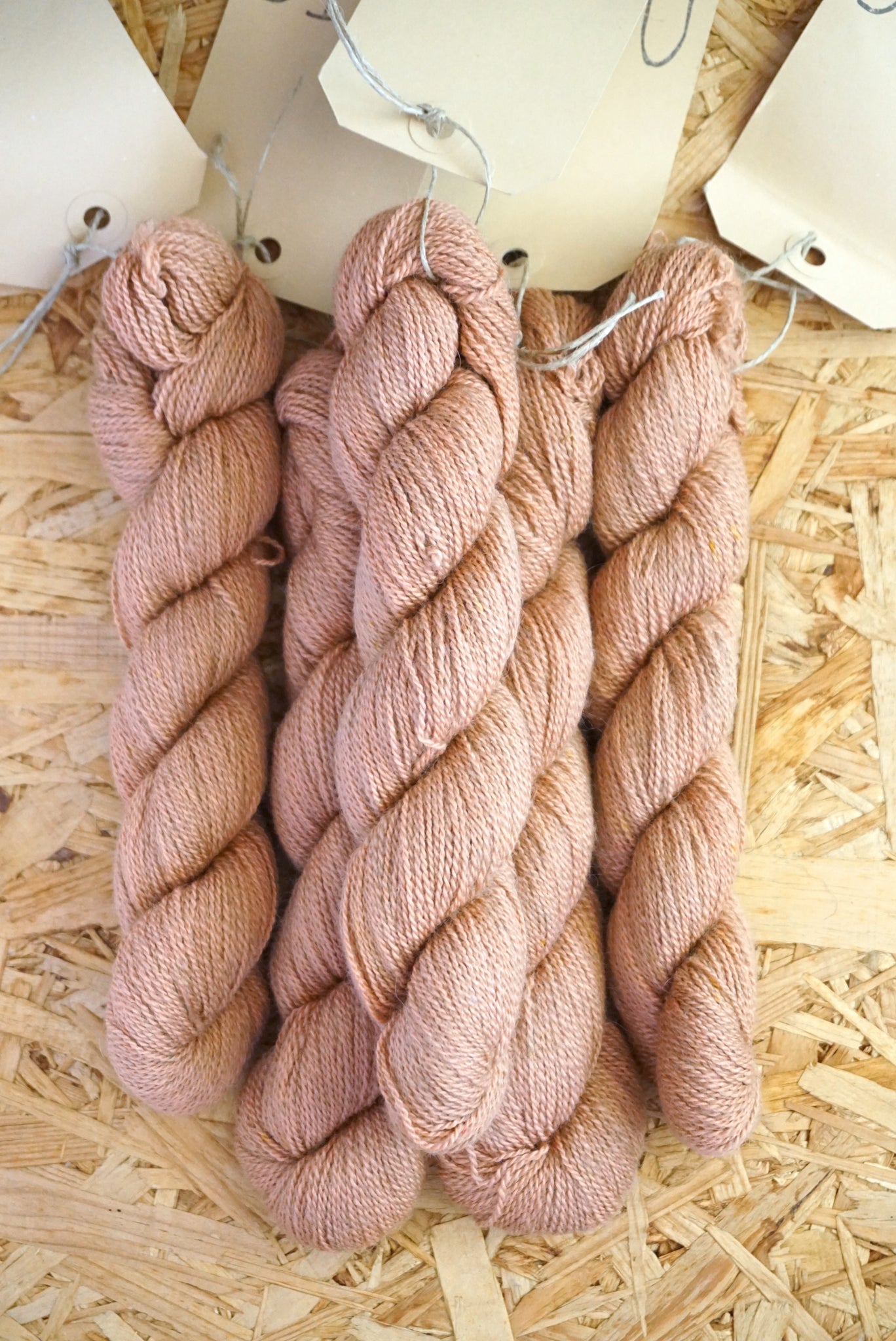Dutch Alpaca