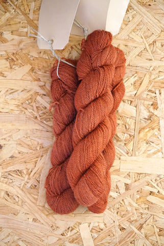 Dutch Alpaca