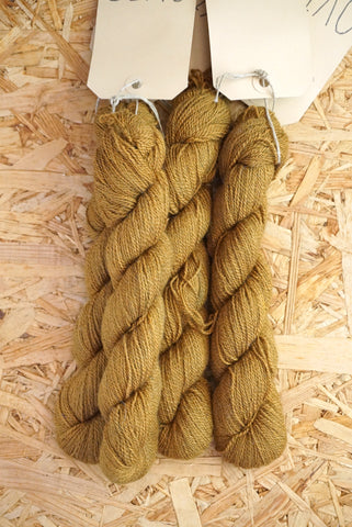 Dutch Alpaca
