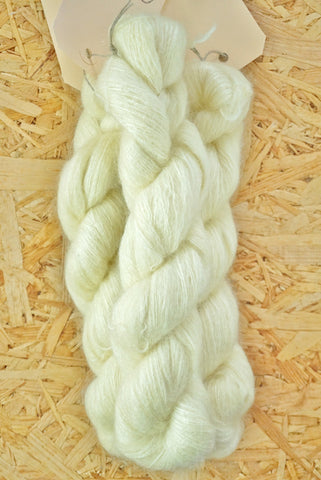 Aureola 'Butter'