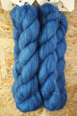 Aureola 'Delft blue'