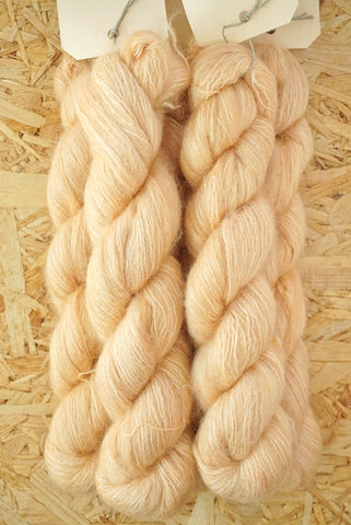 Aureola 'Peach'