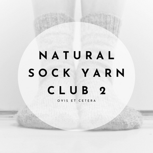 Natural sock yarn club 2